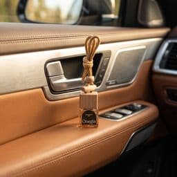 Автомобильный ароматизатор Карельский лес в интерьере автомобиля