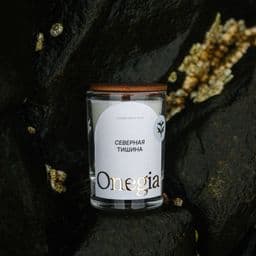 свеча Северная тишина на мокром камне под дождем