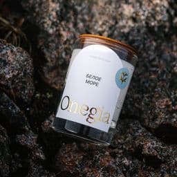 Свеча Белое море на влажном камне после дождя крупный план