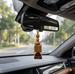 Автодиффузор Айно в автомобиле